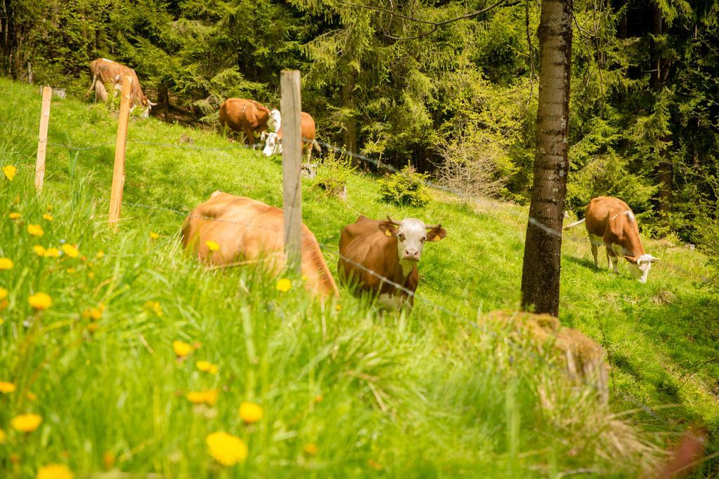 Walcherhof Arriach Eksteriør bilde